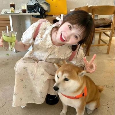 春光乍现